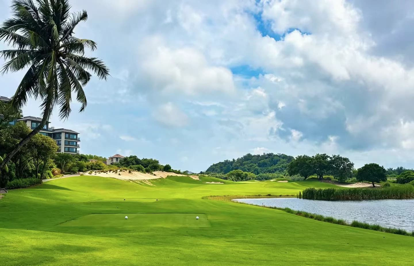 A tropical golf fairway beside water beneath a broad morning sky