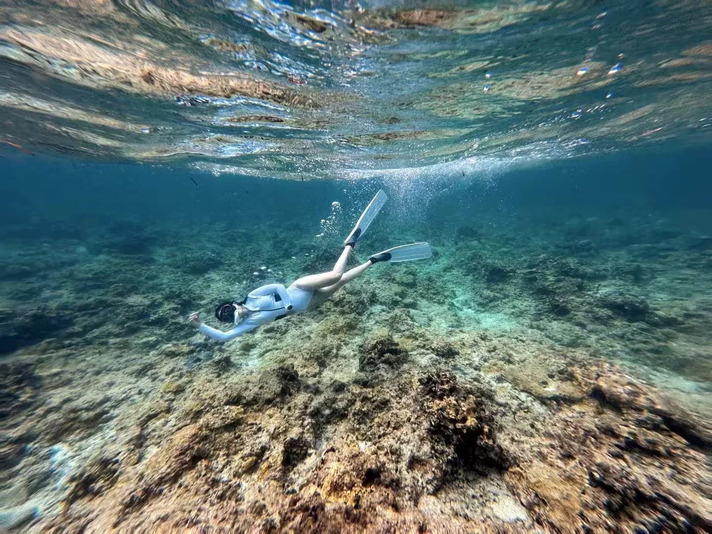 A snorkeller moving quietly above a coral seabed